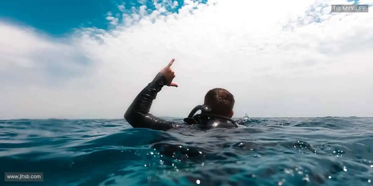 🏋️‍♂️专业品质，耐用舒适！从健身器材到运动服饰，你的健康首选！🎽